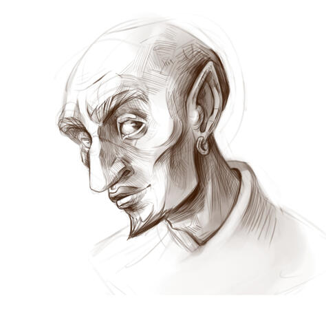 Portrait Portrait